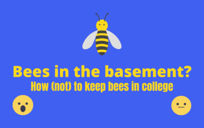 Bees in the Basement? How (not) to keep bees in college.